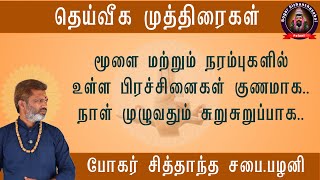 மூளை மற்றும் நரம்புகளில் உள்ள பிரச்சினைகள் குணமாகநாள் முழுவதும் சுறுசுறுப்பாக [upl. by Christin120]