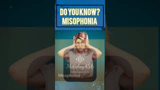 Discover Misophonia Can YOU Stand These Trigger Sounds [upl. by Leynad]