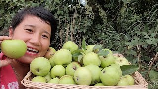 GHÉ CÂY TÁO MỌC HOANG HÁI NGUYÊN RỔ LUÔNĂN PHỞ CÙNG BẠN ÔNG XÃ TẶNG RAU CỦ FOOD BANK [upl. by Ardis]