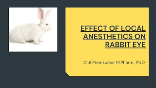 Effect of Local anesthetics on Rabbit eye [upl. by Tavy]