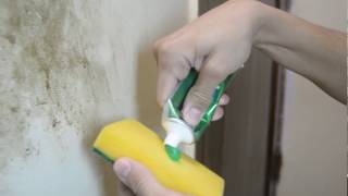 How to clean dirty walls easily  DIY 2017 [upl. by Garling460]