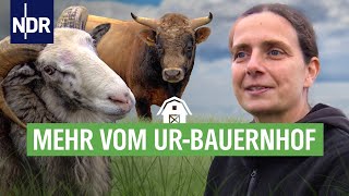 Nichts bleibt wie es ist  auf dem UrBauernhof  die nordstory  NDR [upl. by Assira]