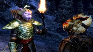 Two Khajiits have a thrilling conversation [upl. by Ilarrold]