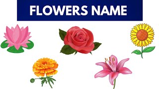 five flowers name  flowers  learning videos for kids [upl. by Ahsenod]