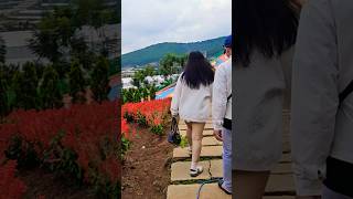 Đà Lạt city travel puppy farmer music instrumental flute dalattrip [upl. by Hnoj978]