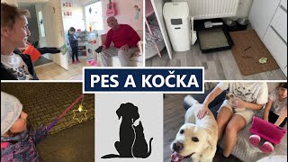 NAŠE KOČKA A PES JAK SE SNÁŠEJÍ  MamaVlog604  Máma v Německu [upl. by Luthanen]