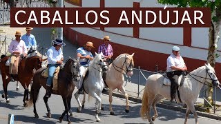 Caballos en Andújar Jaén [upl. by Par]