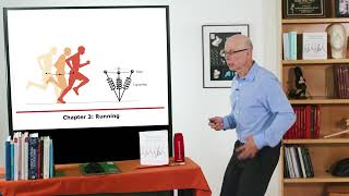 Biomechanics of Movement  Lecture 21 Understanding Locomotion from Models of Walking and Running [upl. by Aseek]