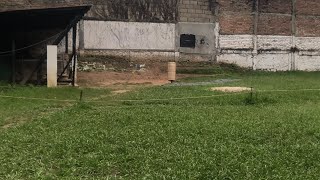 Khasi Hills Archery Sports Institute1st Round 19072024 [upl. by Deehahs]