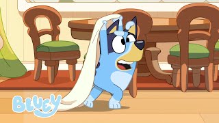 Crazy Walks  Housework  Bluey [upl. by Nahsyar]