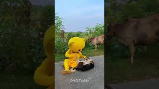 Teddy best friend with dog 😍 fypシ゚ viral reels trending omgteddy viralvideo fun india insta [upl. by Alf]