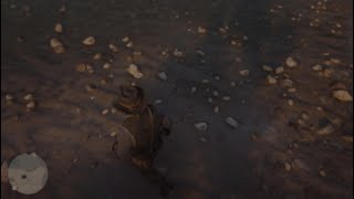 RDR2 part 6 The spines of America [upl. by Willi]