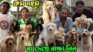 Puppies Sell in Low Price Dog Market in Kolkata Price Kolkata Dog Market [upl. by Chaffin]