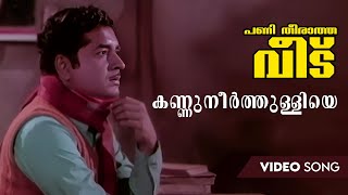 Kannuneerthulliye Video Song  Panitheeratha Veedu  M S Viswanathan  Prem Nazir [upl. by Osei]