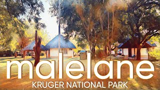 MALELANE  KRUGER NATIONAL PARK A hidden gem where one can really unwind Camps of Kruger Ep 1 [upl. by Enelie]