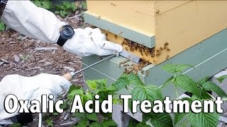 First Oxalic Acid Treatment [upl. by Barbi]