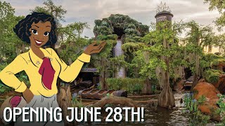 OPENING DATE REVEALED Tiana’s Bayou Adventure at Walt Disney World [upl. by Enairb498]