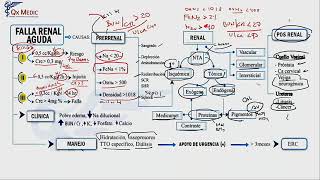 Nefrología  Academia Mis Cursos 3 [upl. by Kalvn880]