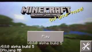 Minecraft Pocket Edition Update 080 Alpha Build 5 [upl. by Reinhold]