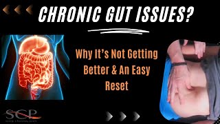 Chronic Gut Issues Why Its Not Getting Better [upl. by Iams]