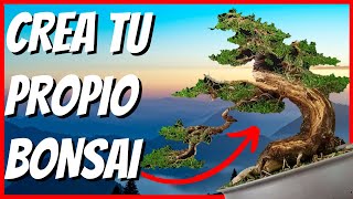 bonsai de alambre paso a paso [upl. by Natan]