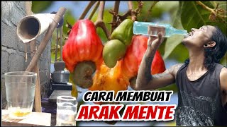 Tutorial Dan Cara Membuat Arak Mente  Arak Terkeras Di Bali [upl. by Neladgam]