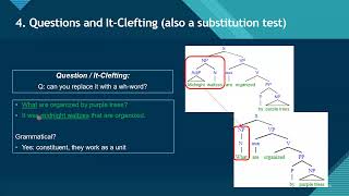 How to Do Constituent and Complement Tests [upl. by Danita152]