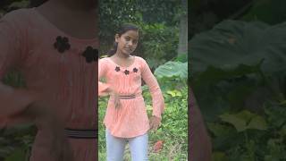 1234 Nadiya ke pare parnagpurisong dance ytshorts youtubeshorts [upl. by Danete]