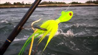 Striped Bass and Fluke Fishing Moriches Inlet [upl. by Valina727]