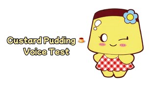 Custard Pudding Voice Test [upl. by Rodgers443]