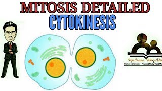 Detailed description of mitosis cytokinesisneed of mitosis for NEET AIIMS JIPMER [upl. by Aynnek]