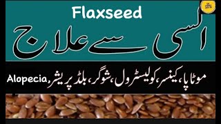 Flaxseed k fawaid  Flaxseed health benefits  DrHabibaAkhter [upl. by Etnaud]