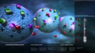 Ion Exchange Chromatography [upl. by Assylem235]