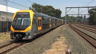 Sydney Trains Vlog 629 Petersham Part 3 [upl. by Leventis]