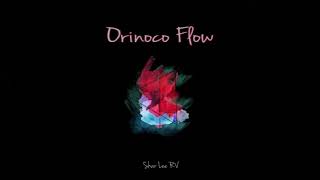 Orinoco Flow  Enya Instrumental Cover Shar Lee RV [upl. by Dietrich]