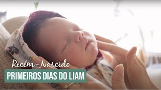 ROTINA COM RECÉMNASCIDO  Primeiros dias do bebê Liam por Juliana Goes [upl. by Onder]