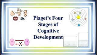 Piaget’s Four Stages of Cognitive Development [upl. by Nicolais]