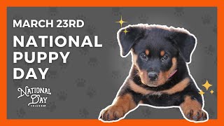 National Puppy Day  March 23rd  National Day Calendar [upl. by Enixam]