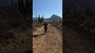 ¡110 km en Baja California 🌅 bajacalifornia senderismo aventura creadordecontenido [upl. by Farrand]