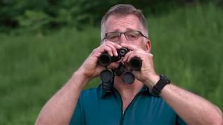 How to Use Binoculars for Birding [upl. by Buff499]