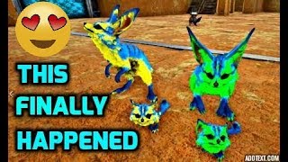 Raising The Cutest Mutated Jerboa EVER Easy Tutorial amp Guild [upl. by Nnael764]