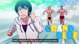 Grand Blue Funny Moments  ぐらんぶる  1080P HD [upl. by Pigeon34]