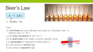 Spectrophotometric Enzyme Assays [upl. by Ecinnaj249]