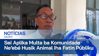 Sekretáriu Estadu Pekuaria Sei Aplika Multa ba Komunidade Ne’ebé Husik Animal Iha Fatin Públiku [upl. by Eecyak98]