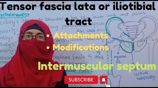 Fascia lata I modification of Fascia lata  clinical intermuscular septum ayesha medical education [upl. by Bonnette789]