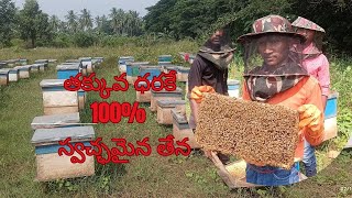 100 Organic amp Natural Honey in small priceతక్కువ ధరకే 100 స్వచ్చమైన తేనె [upl. by Marcello]