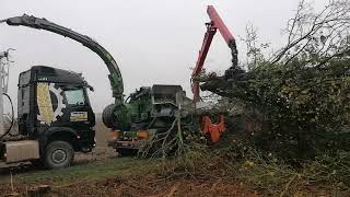 Hackgut erzeugen mit Fendt 942 [upl. by Debbee]