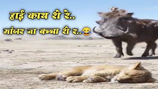 Ahirani Video Dubbing  Khandeshi Video Dubbing Full comedy video [upl. by Colan625]