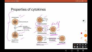 cytokines part1 csirnet life sciences biology [upl. by Filberto763]