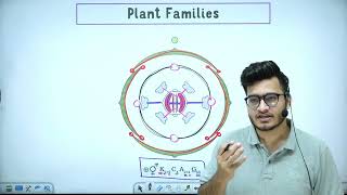 L7 Plant Families Fabaceae Solanaceae amp Liliaceae  Morphology in Flowering Plants 11th Class [upl. by Emmie246]